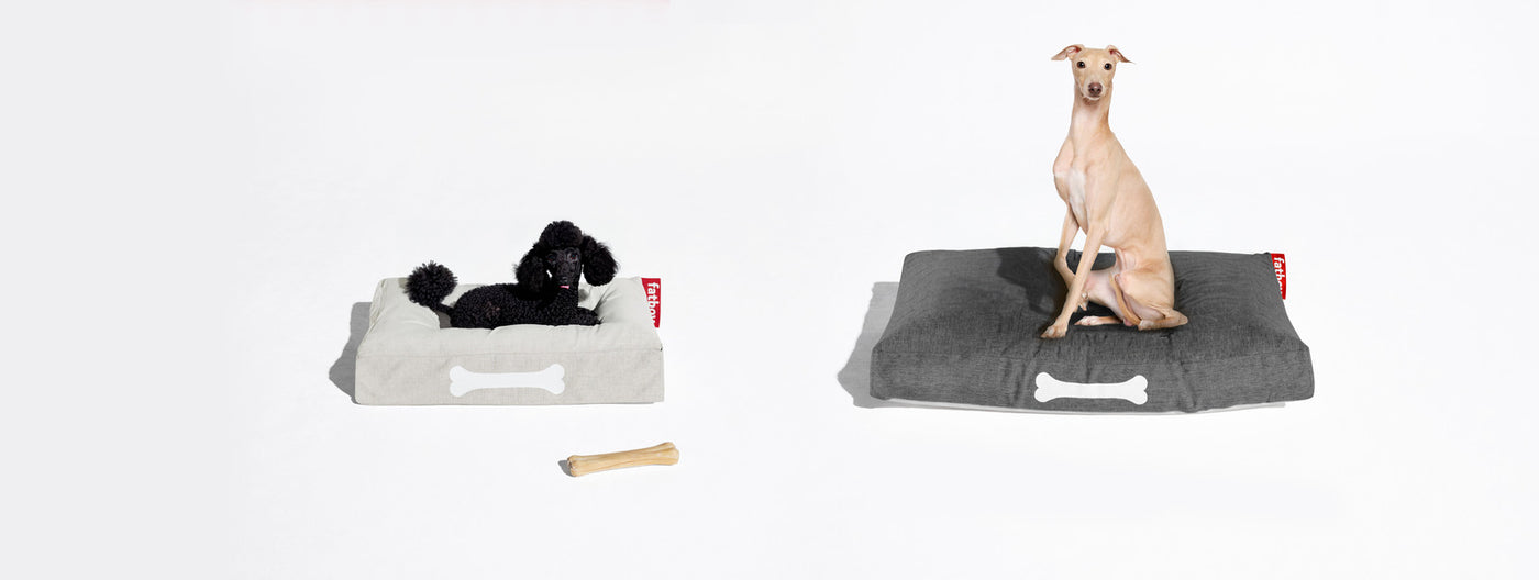 Fatboy Doggielounge: Stylish, durable dog bed, water and dirt-repellent, easy to clean, and designed to complement any home interior.